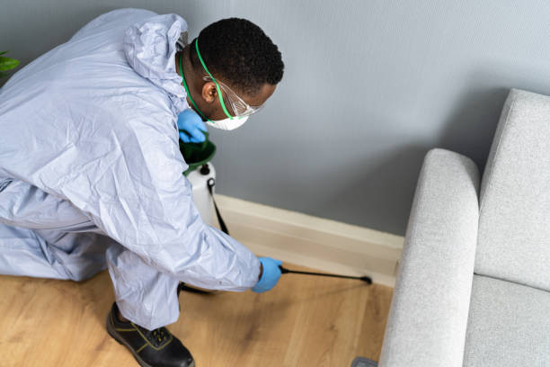 Best Pest Prevention Services  in Lake Mathews, CA